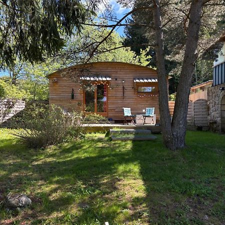 Chalet Grenouille Domaine De La Mamounette Champclause Экстерьер фото