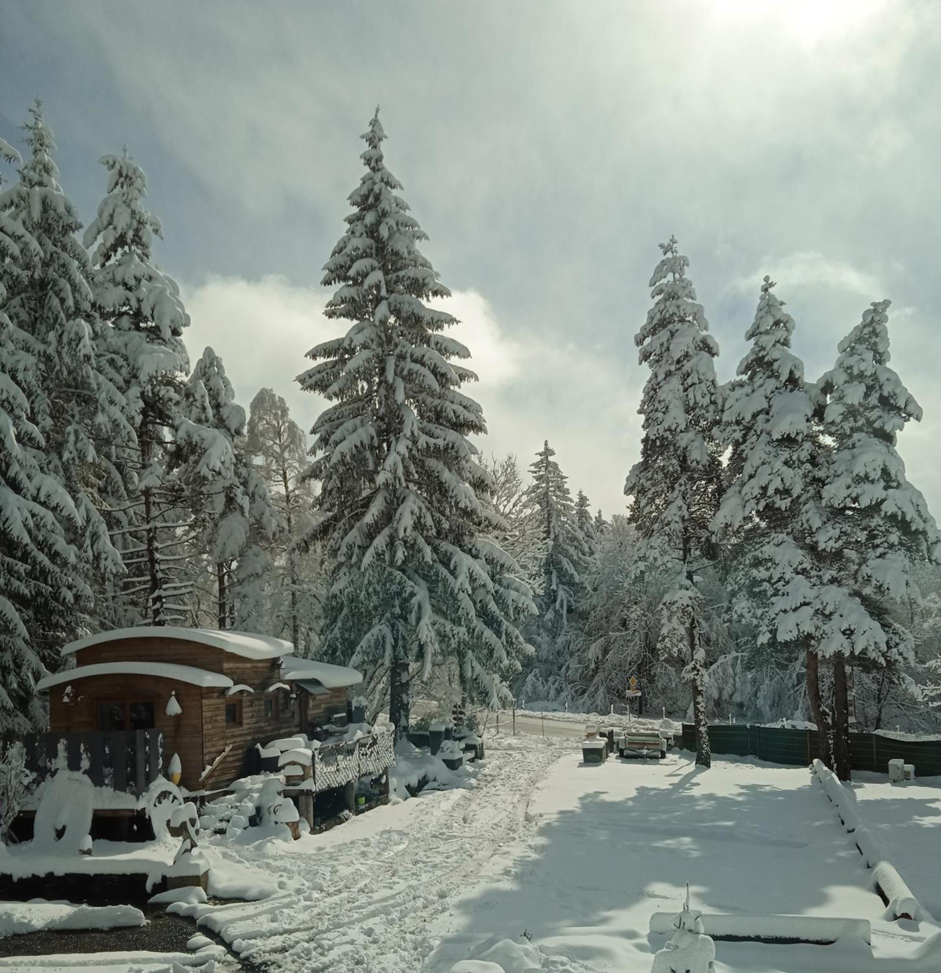 Chalet Grenouille Domaine De La Mamounette Champclause Экстерьер фото